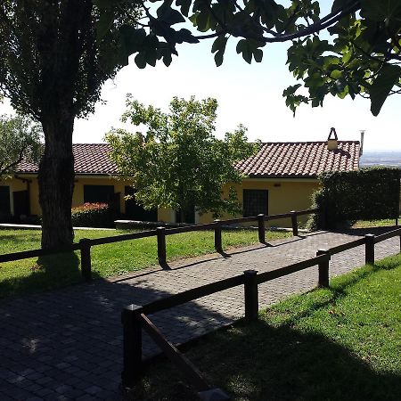Agriturismo La Vite E Gli Ulivi Ariccia Exterior photo