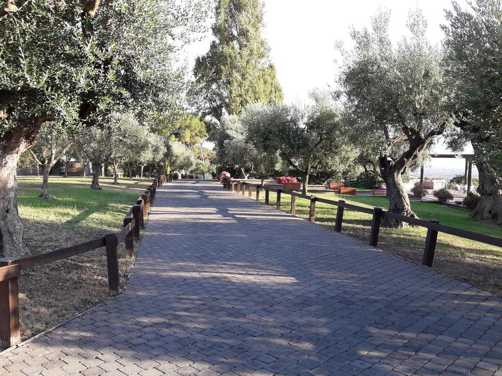 Agriturismo La Vite E Gli Ulivi Ariccia Exterior photo