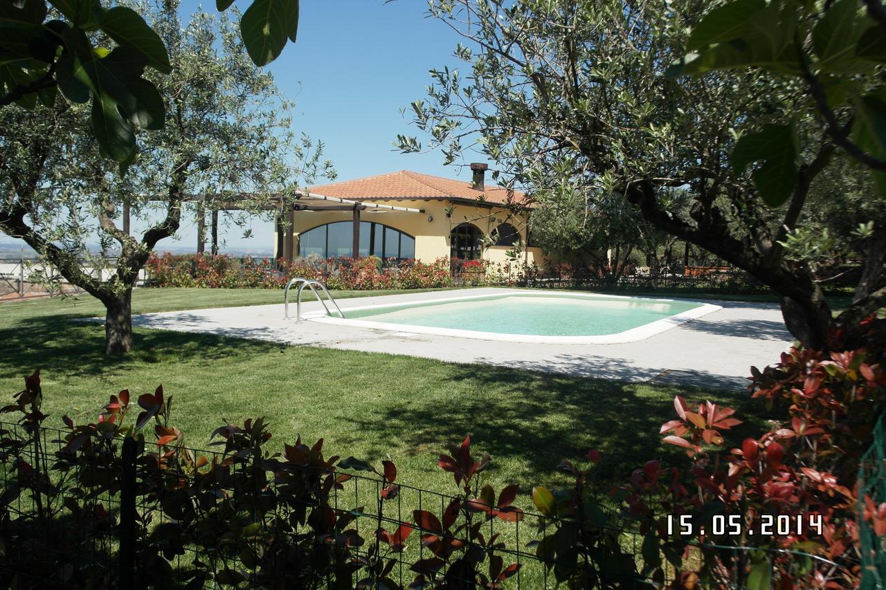 Agriturismo La Vite E Gli Ulivi Ariccia Exterior photo