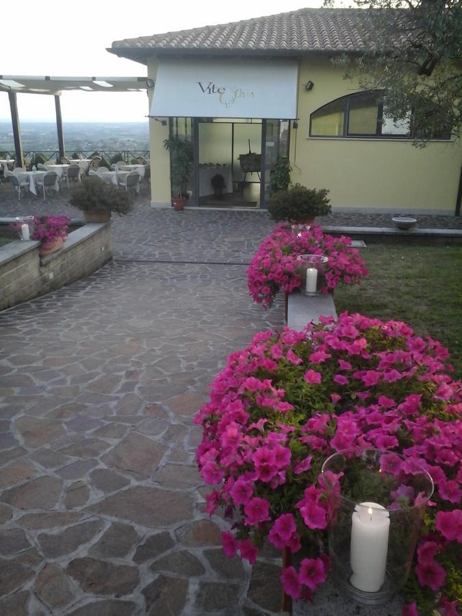 Agriturismo La Vite E Gli Ulivi Ariccia Exterior photo