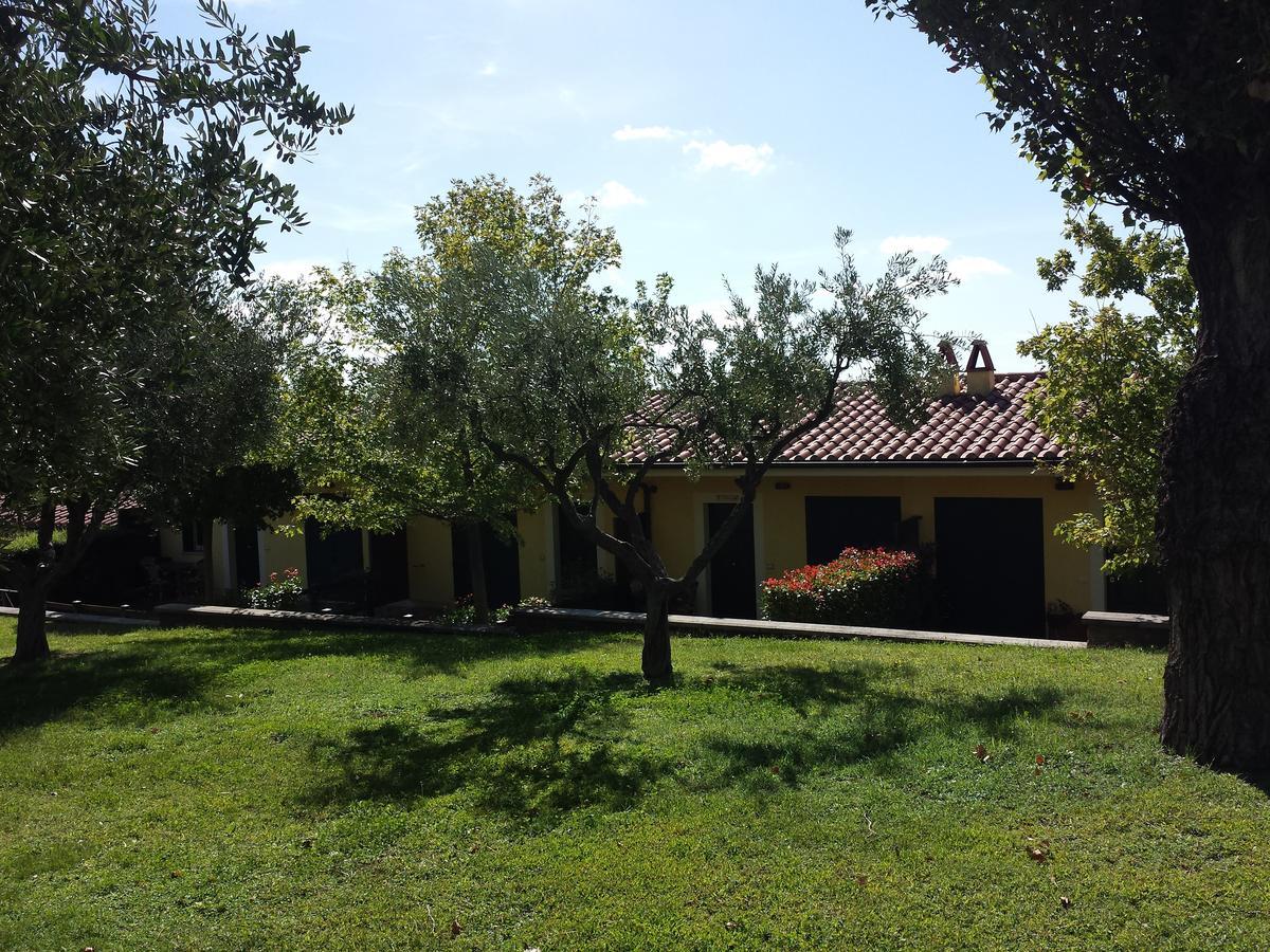 Agriturismo La Vite E Gli Ulivi Ariccia Exterior photo