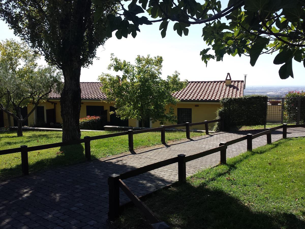 Agriturismo La Vite E Gli Ulivi Ariccia Exterior photo